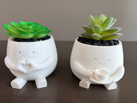 Cute Smiling Succulent Pot