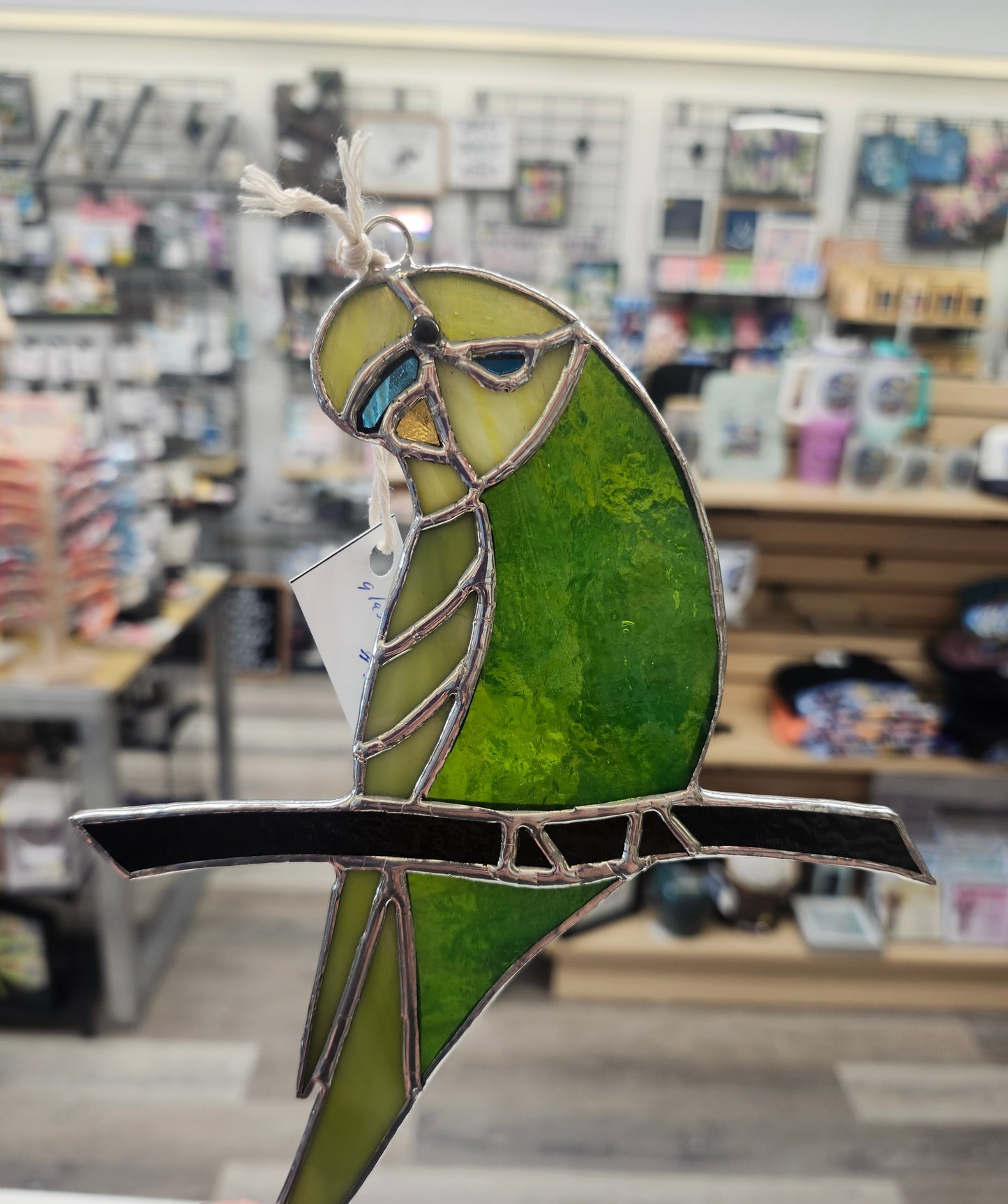 Budgie