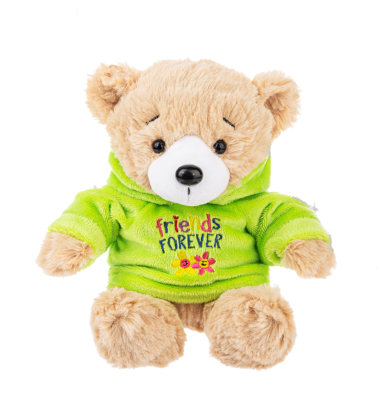 Message Hoodie Bear