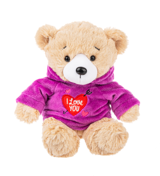 Message Hoodie Bear