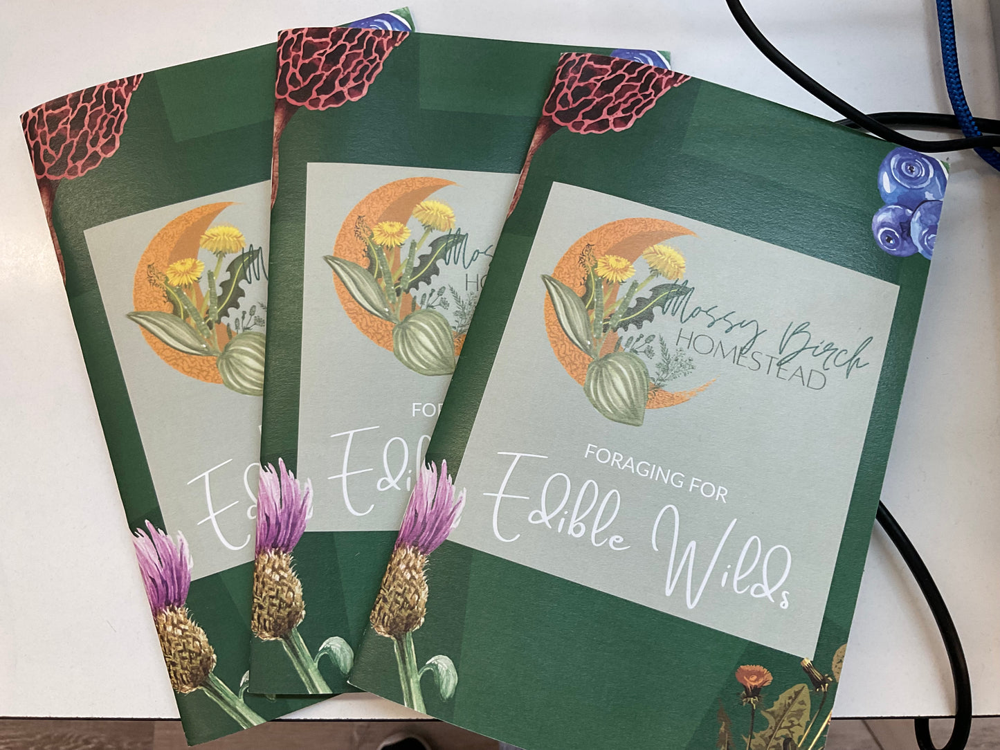 Foraging For Edible Wilds