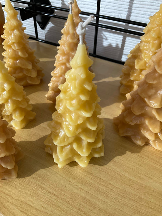 Whimsical Forest Set of 3