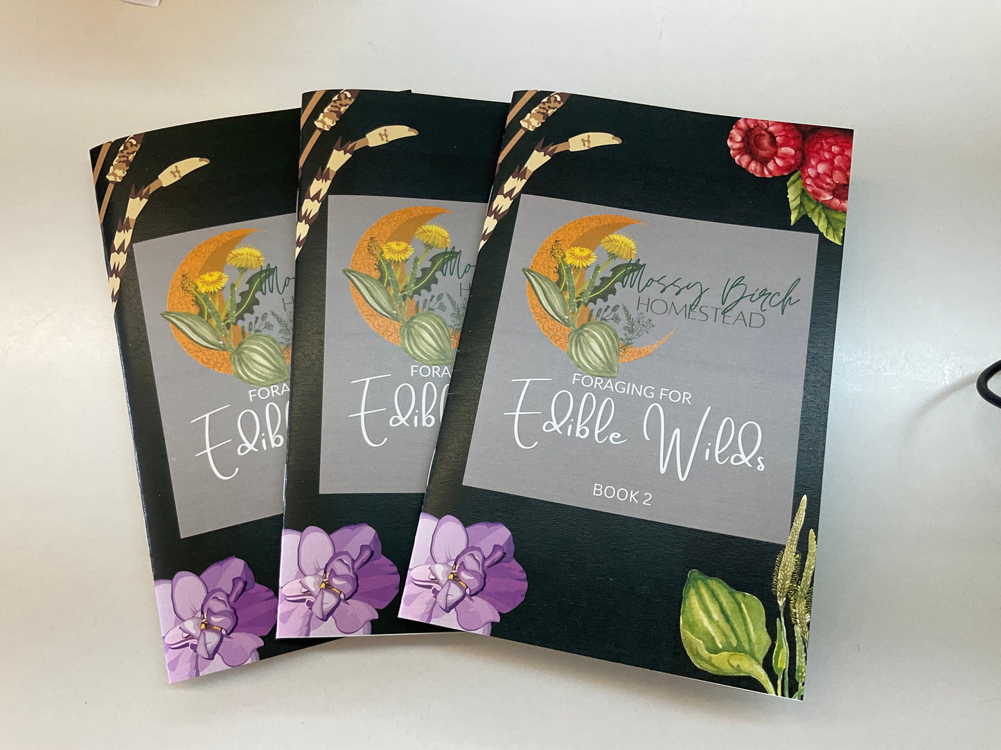 Foraging for Edible Wilds - Book 2