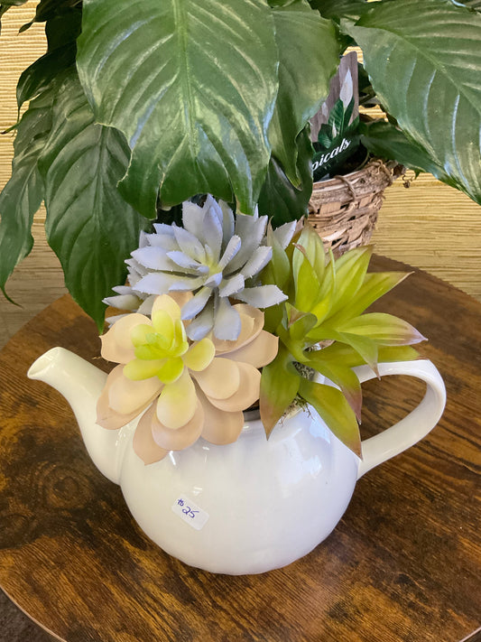 Large Succulent Teapot