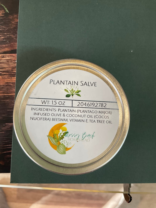Plantain Salve 1.5 oz