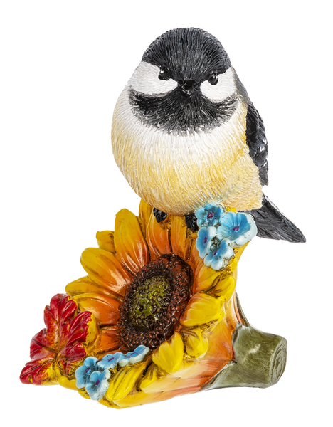 Birds on Fall Flowers