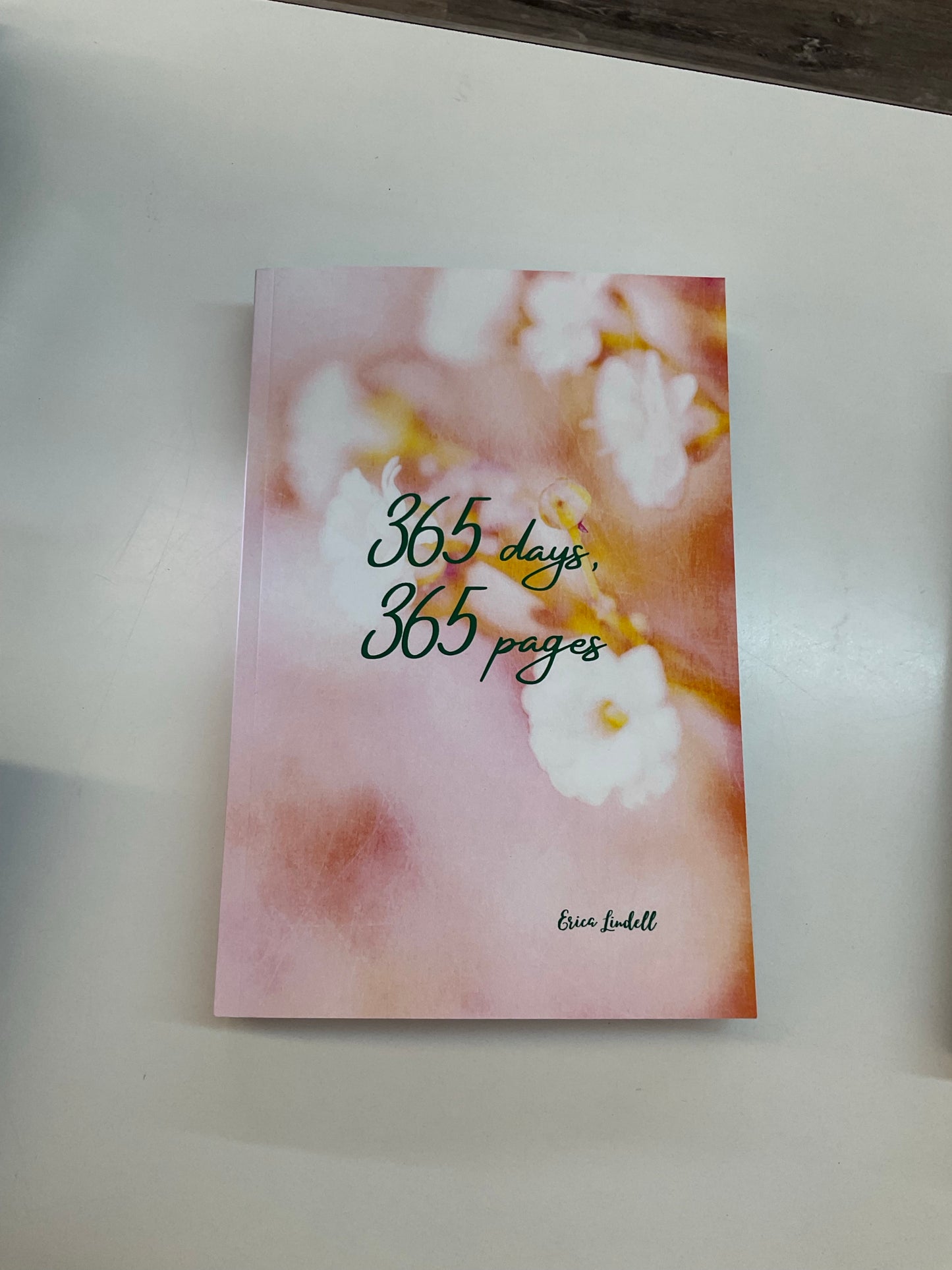 365 Days Journal