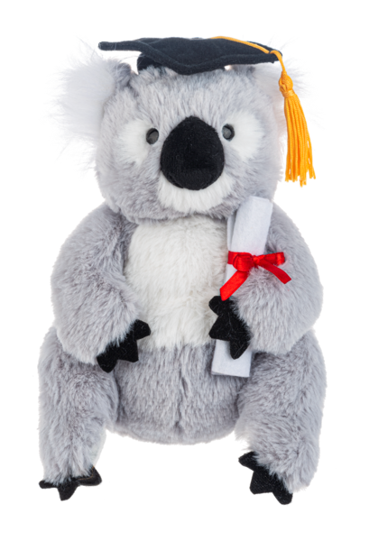 Graduation Koala