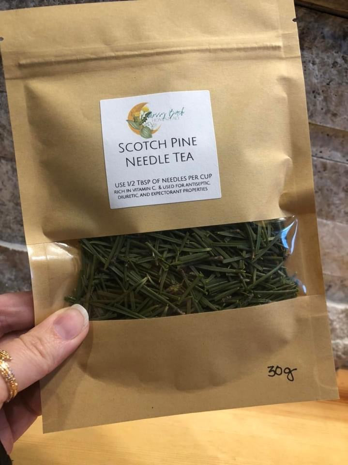 Scotch Pine Tea 30g