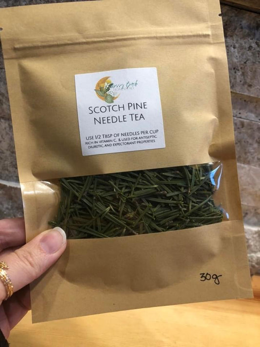 Scotch Pine Tea 30g