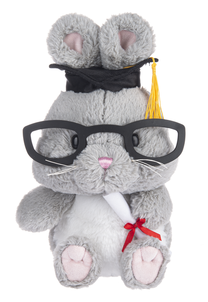 Graduated Bunny