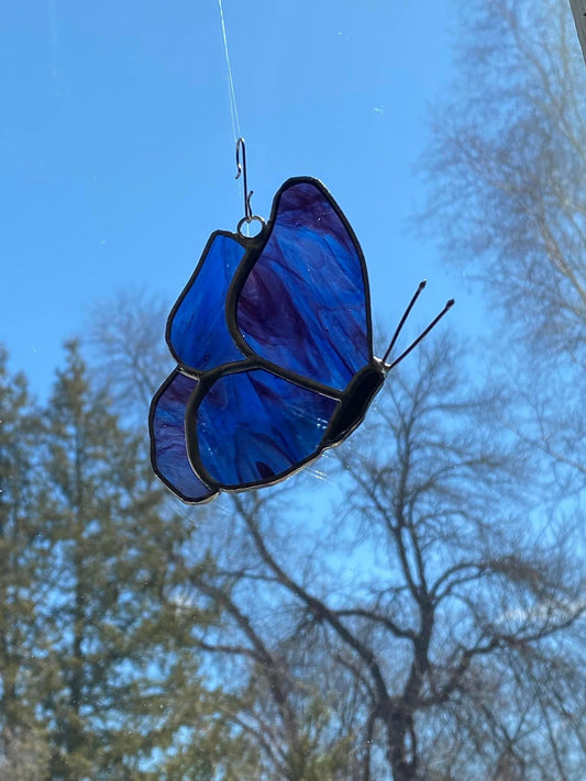 Butterfly Side View