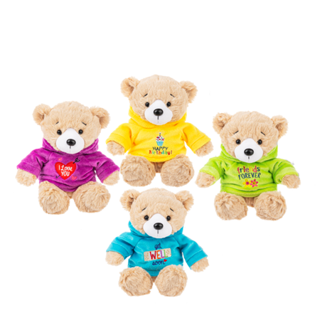 Message Hoodie Bear